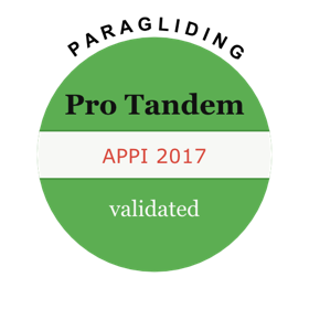 Badge Pro Tandem APPI 2017